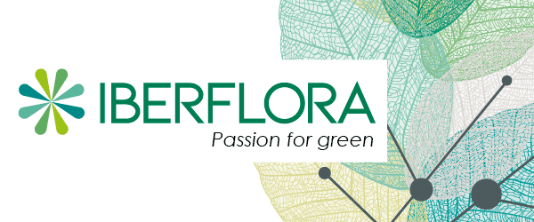 Logo de iberflora | empresas