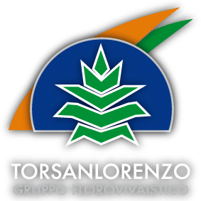 Logo de Torsanlorenzo | empresas